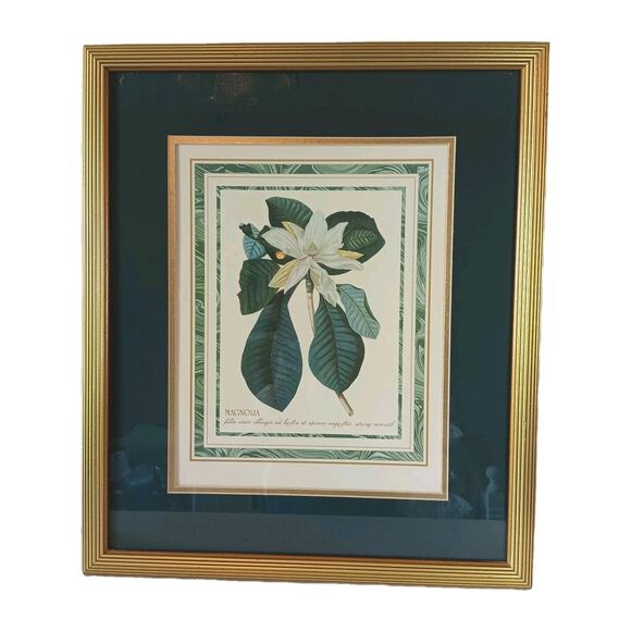 Vintage Rand Hort Chelf Magnolia Folios Ovato Print Framed Matted App 20